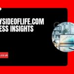 Unlocking the Moneysideoflife.com Business Insights