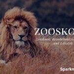 Zooskooñ: Revolutionizing the Tech and Lifestyle Landscape