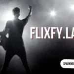 Flixfy.lat: Transforming the Streaming Era